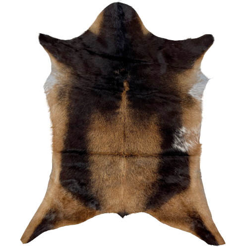 Brown and Blackish Brown Goatskin, with a few white speckles on the belly, on the right side - 2'10" x 2'4" (GOAT248)