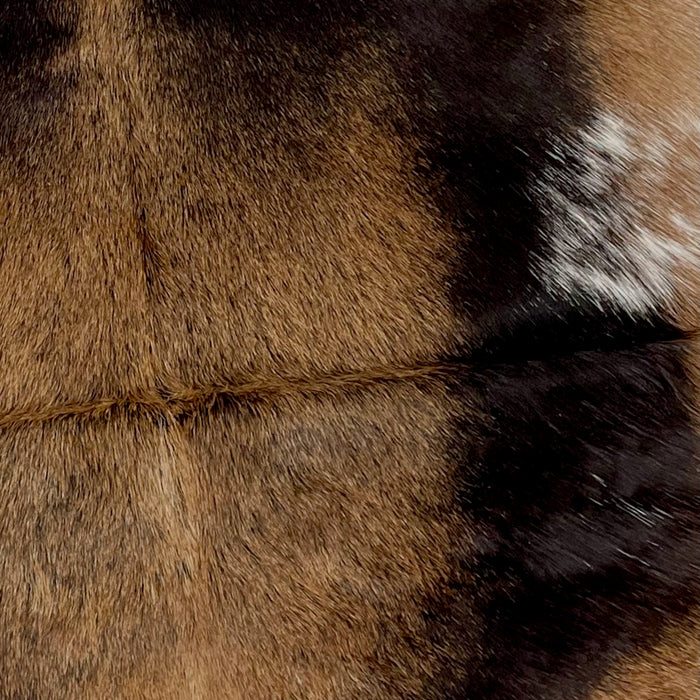 Closeup of this Goatskin, showing brown and blackish brown, with a few white speckles on the belly, on the right side (GOAT248)