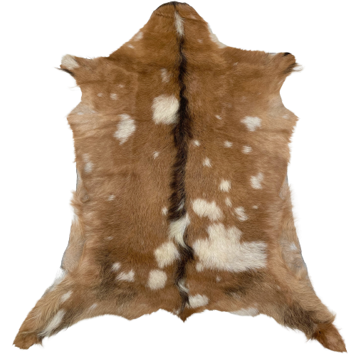 Brown and Off-White Spotted Goatskin:  brown with off-white spots, and it has dark brown down the spine - 3'6" x 2'8" (GOAT267)