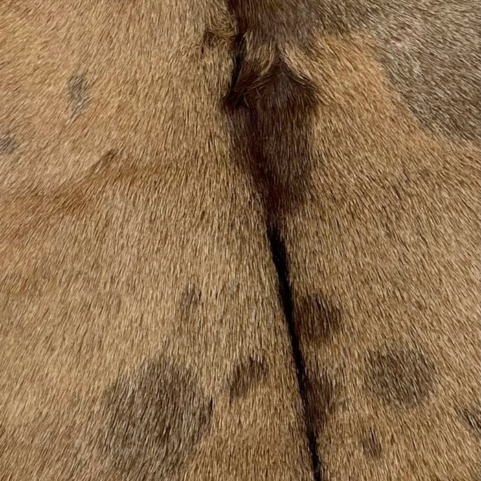 Two Tone Brown Spotted Goatskin - 3'2" x 2'5" (GOAT268)