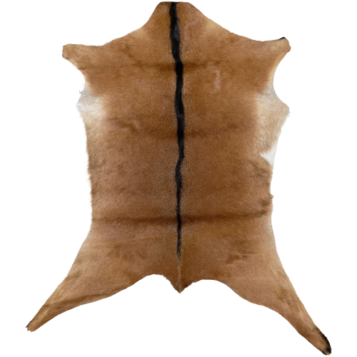 Brown Goatskin:  brown with blackish brown down the spine - 3' x 2'4" (GOAT272)