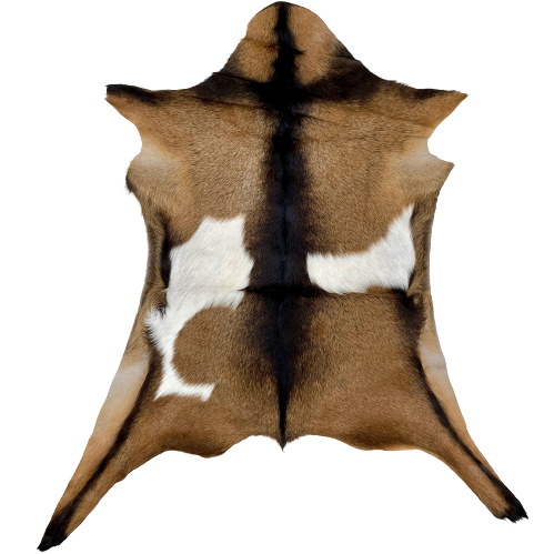 Brown and White Goatskin:  brown, with fine, dark brown speckles, dark brown down the spine and a strip across the shoulder and on each leg, and it has a white spot on both sides of the back - 2'6" x 2'2' (GOAT278)
