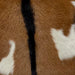 Closeup of this Goatskin, showing brown with a few white spots, and a black strip down the spine (GOAT281)