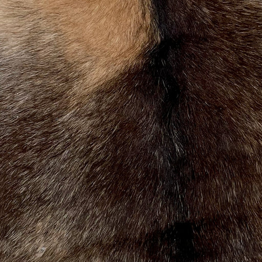 Closeup of this Speckled Goatskin, showing a mix of tan and dark brown speckles and a large light brown spot on the left side of the shoulder (GOAT282)