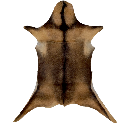 Brown Goatskin:  has a mix of brown and blackish brown, and blackish brown down the spine and a strip across the shoulder and on the legs - 3'1" x 2'5" (GOAT284)