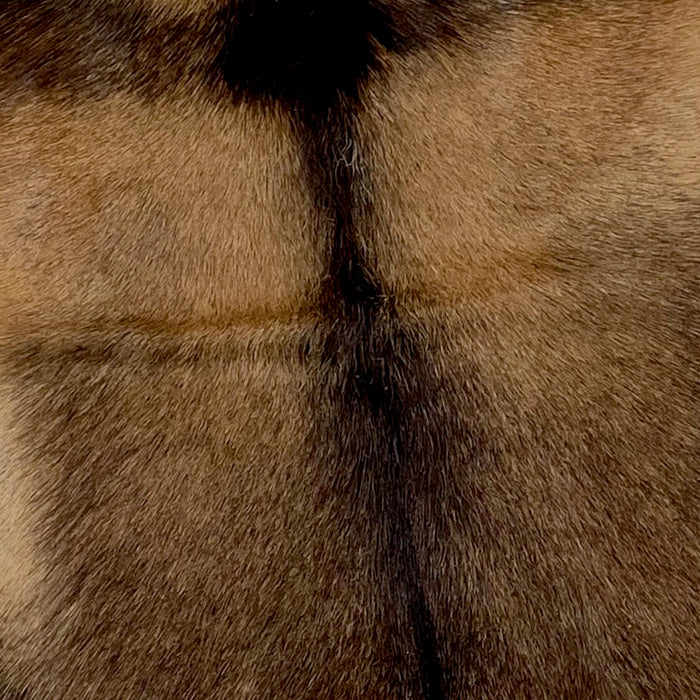 Closeup of this Goatskin, showing a mix of brown and blackish brown, and blackish brown down the spine and a strip across the shoulder (GOAT284)