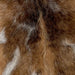 Closeup of this Goatskin, showing long hair that is a mix of different shades of brown, and a few white spots and some white speckles (GOAT287)