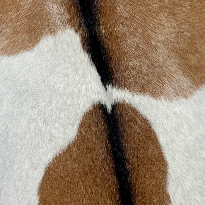 Closeup of this Goatskin, showing brown, with white speckles, a large white spots on both sides, and it has a blackish brown strip down the spine and across the shoulder (GOAT288)