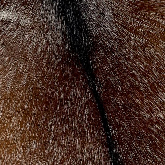 Closeup of this Goatskin, showing brown with white speckles, and dark brown down the spine (GOAT292)