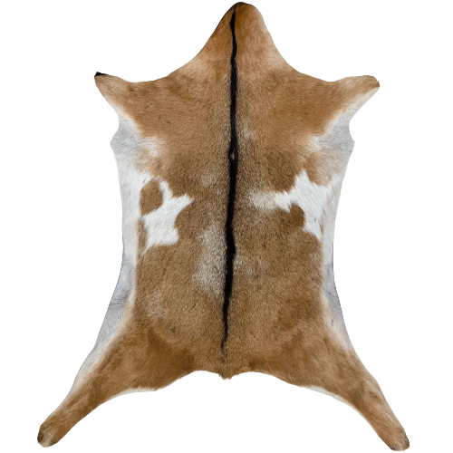 Brown and Off-White Goatskin:  brown, with an off-white spot on each side, some white speckles down the middle of the back, off-white on the belly, and dark brown down the spine - 2'11" x 2'2" (GOAT293)