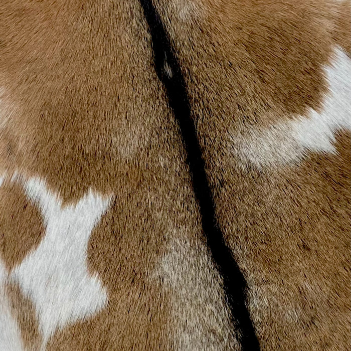 Closeup of this Goatskin, showing brown, with an off-white spot on each side, some white speckles down the middle of the back, and dark brown down the spine (GOAT293)