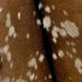 Closeup of this Goatskin, showing brown with light tan spots, and dark brown down the spine (GOAT297)