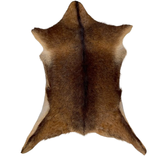Solid Brown Goatskin:  solid brown with darker brown down the spine - 3'8" x 2'9" (GOAT311)