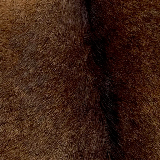 Closeup of this Goatskin, showing solid brown with darker brown down the spine (GOAT311)