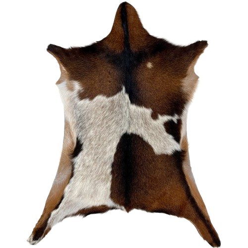 Brown and White Speckled Goatskin:  white with brown speckles on part of the back and butt, and solid brown on the rest of the back and butt, and on the shoulder, head, and legs - 3'2" x 2'6" (GOAT313)