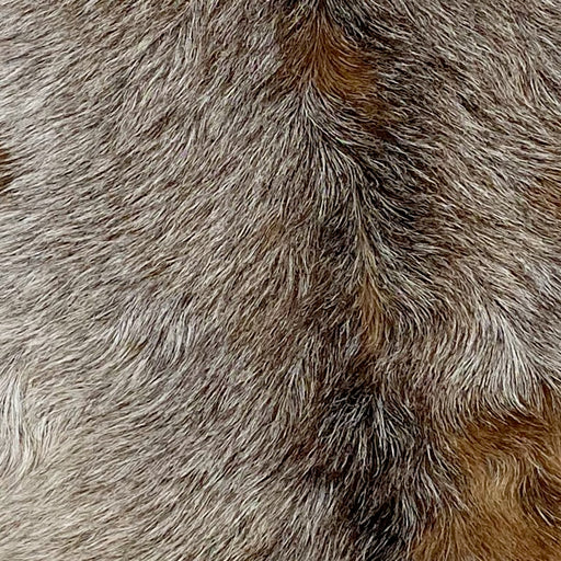 Closeup of this Speckled Goatskin, showing brown with white speckles, and black down the spine (GOAT314)