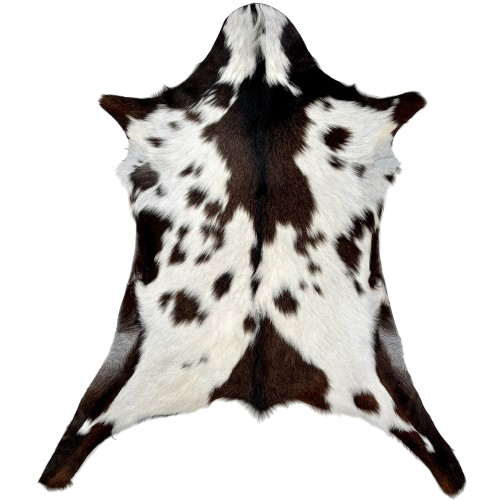 White and Dark Brown Goatskin:  white with large and small, brown spots - 2'9" x 2'3" (GOAT315)