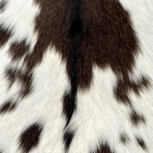 Closeup of this Goatskin, showing white with large and small, brown spots (GOAT315)