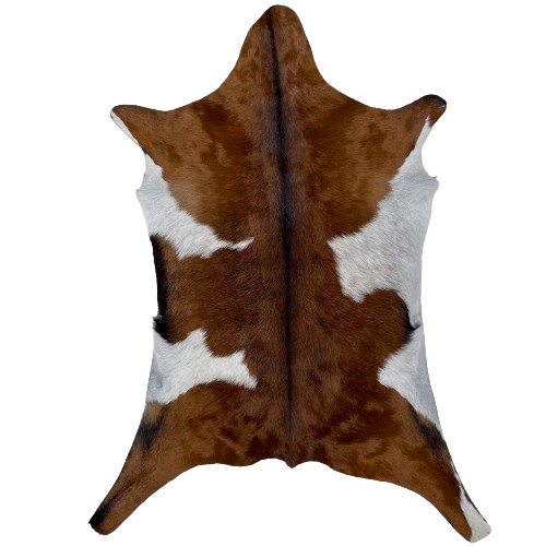 Brown and Off-White Goatskin:  brown, with two large, off-white spots that have brown speckles, and it has black down the spine - 3'4" x 2'5" (GOAT317)