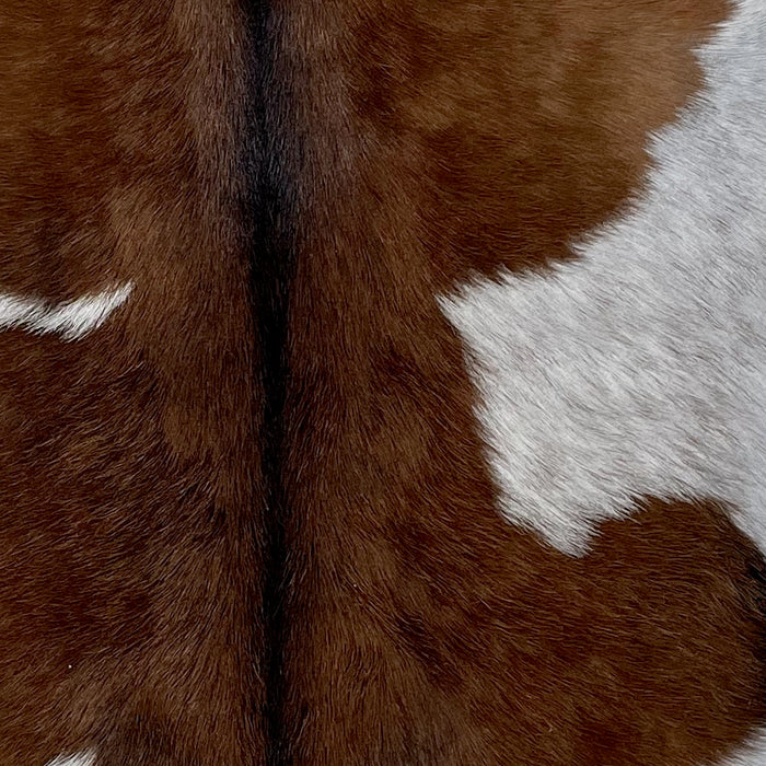 Closeup of this Goatskin, showing brown, and one of two large, off-white spots that have brown speckles, and black down the spine (GOAT317)