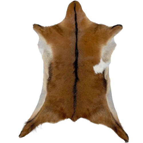 Brown Goatskin:  brown with blackish brown down the spine, tan on the belly, and one small, white spot on the right side - 3'4" x 2'5" (GOAT322)