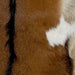 Closeup of this Goatskin, showing brown with blackish brown down the spine, tan on the belly, and one small, white spot on the right side (GOAT322)