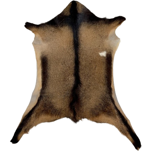 Two Tone Brown Goatskin:  light brown with dark brown speckles, and it has a dark brown strip down the spine, across the shoulder, and on the belly and legs, and a small, white spot on the right side - 3' x 2'7" (GOAT324)