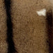 closeup of this Goatskin, showing light brown with dark brown speckles, and a dark brown strip down the spine and on the belly, and a small, white spot on the right side (GOAT324)