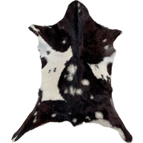 Blackish Brown and White Goatskin:  blackish brown with small and large, white spots - 2'11" x 2'3" (GOAT325)