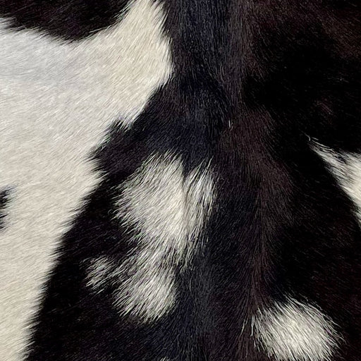 Closeup of this Goatskin, showing blackish brown with small and large, white spots (GOAT325)