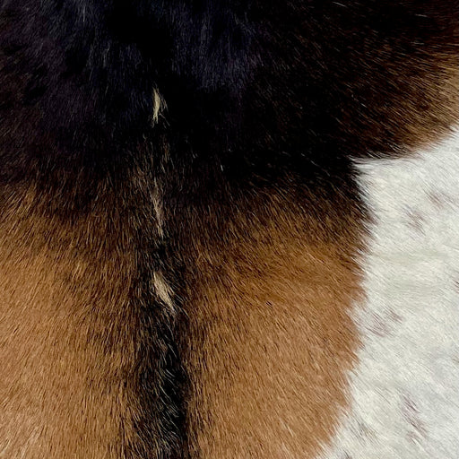 Closeup of this Goatskin, showing brown with a mix of black and blackish brown on the shoulder and down the spine, and white, with brown speckles, on the right side (GOAT326)