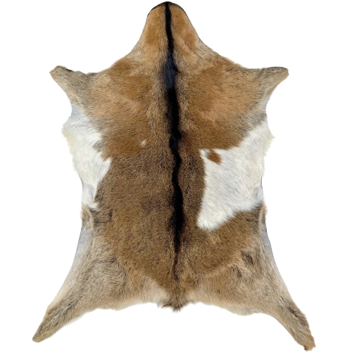 Brown, Tan, White Goatskin:  brown, with a white spot on both sides, tan on the butt and legs, and blackish brown down the spine - 2'11" x 2'3" (GOAT329)