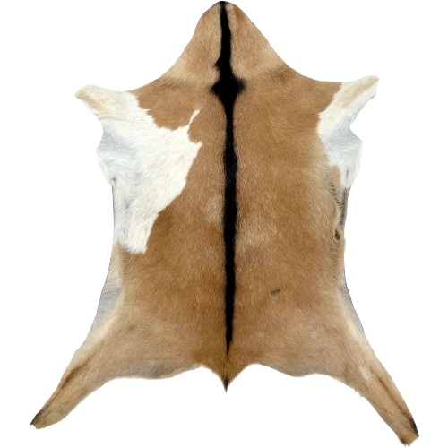 Light Brown and White Goatskin:  light brown, with a white spot on both sides, and black down the spine - 3'2" x 2'6" (GOAT330)