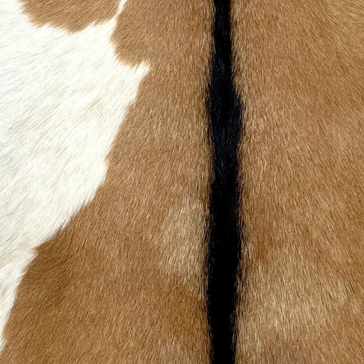 Closeup of this Goatskin, showing light brown, a white spot on the left side, and black down the spine (GOAT330)