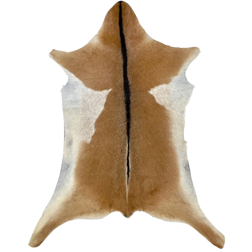 Light Brown and Off-White Goatskin:  light brown, with a light brown speckled, off-white spot on each side, and blackish brown down the spine - 3'4" x 2'4" (GOAT331)