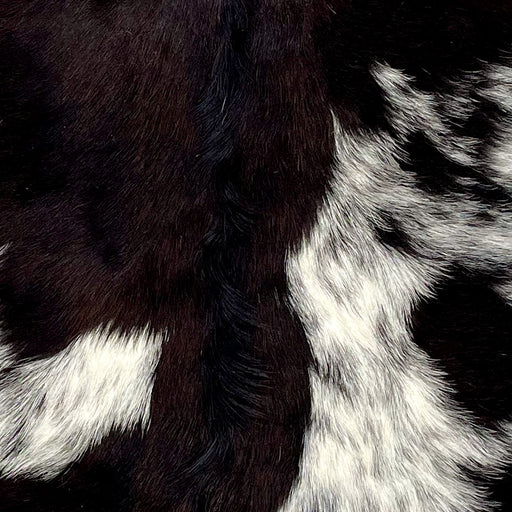 Closeup of this Speckled Goatskin, showing dark brown, with a dark brown speckled, white spot on each side (GOAT332)