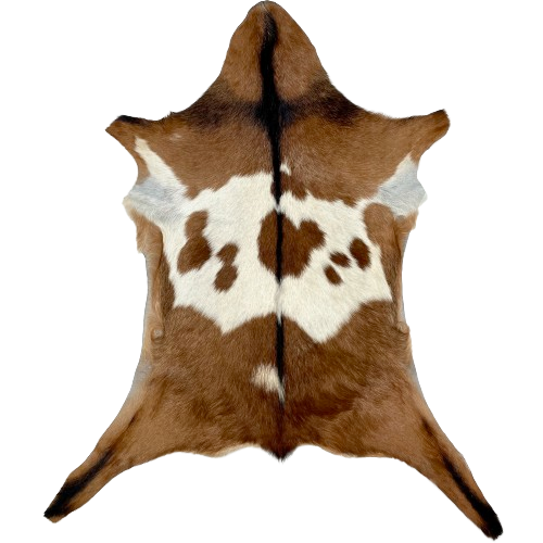 Brown and Off-White Goatskin:  brown, with a brown spotted, off-white spot across the middle, and it has a dark brown strip across the shoulder and down the spine - 3'1" x 2'4" (GOAT333)