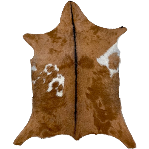 Brown and White Goatskin:  brown with a few small, white spots on the back and belly - 3'5" x 2'7" (GOAT334)