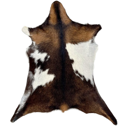 Brown, Blackish Brown, White Goatskin:  has a mix of brown and blackish brown, with white spots on both sides of the back - 3'1" x 2'3" (GOAT335)