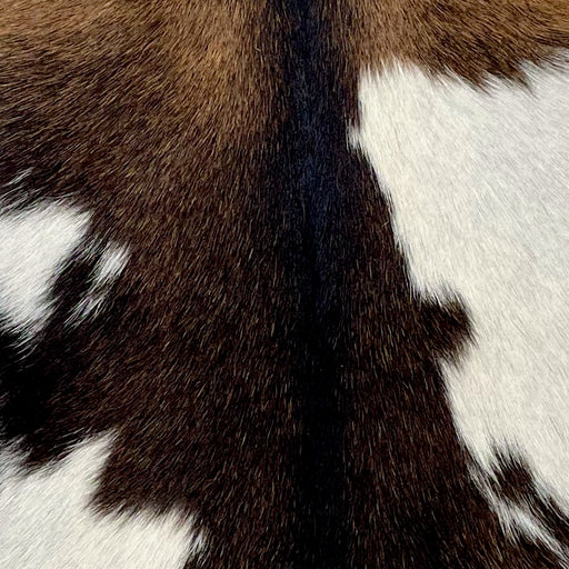 Closeup of this Goatskin, showing a mix of brown and blackish brown, with white spots on both sides of the back (GOAT335)