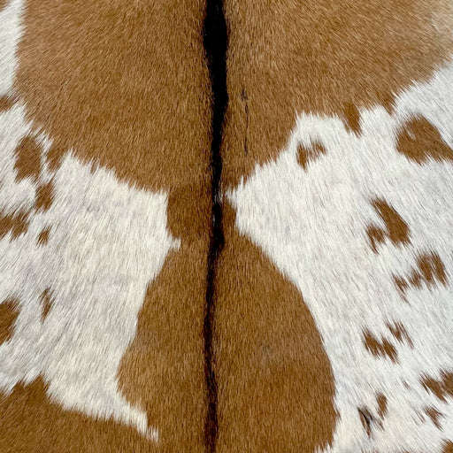 Closeup of this Goatskin, showing light brown, and off-white with brown spots on both sides, and black down the spine (GOAT338)