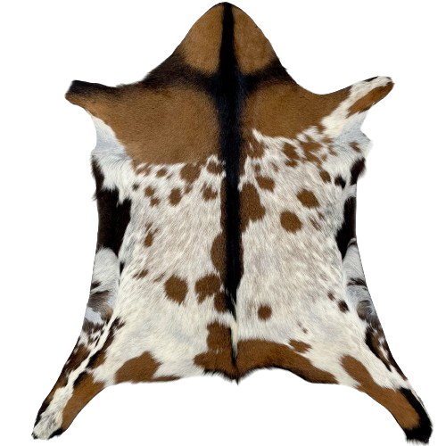 Off-White and Brown Goatskin:  off-white with brown speckles and spots on the back, brown on the head and shoulder, and it has a dark brown strip across the shoulder and down the middle - 2'7" x 2'3" (GOAT339)