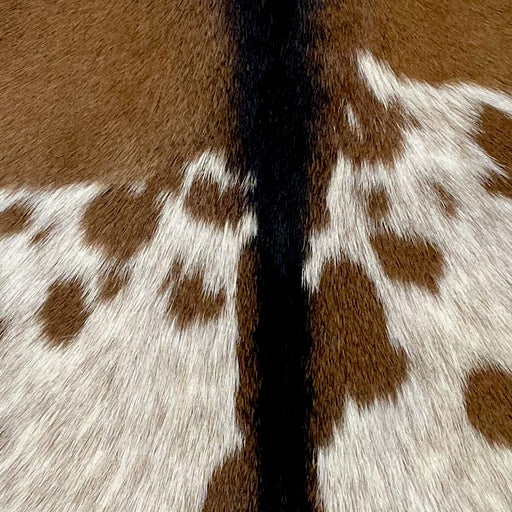 Closeup of this Goatskin, showing off-white with brown speckles and spots on the back, brown on the shoulder, and dark brown strip down the middle (GOAT339)