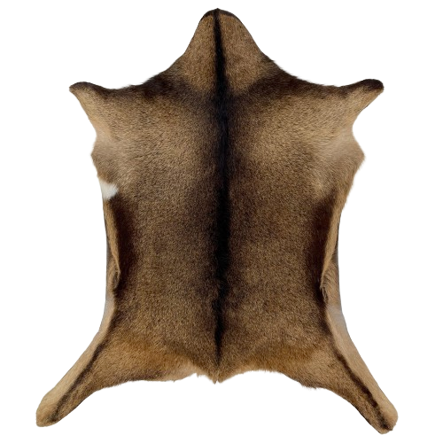 Light Brown and Blackish Brown Goatskin:  has a mix of light brown and blackish brown, with a blackish brown strip across the shoulder, down the middle, and on the belly - 3'1" x 2'7" (GOAT340)