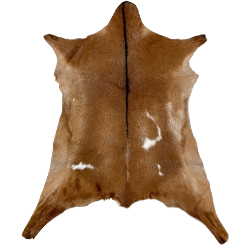 Reddish Brown and White Goatskin:  reddish brown, with a couple small, white spots on each side of the back, and it has a black strip down the middle - 3'4" x 2'8" (GOAT341)