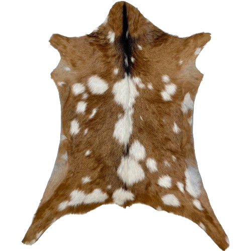 Brown and White Spotted Goatskin:   brown with white spots  - 2'9" x 2'2" (GOAT343)