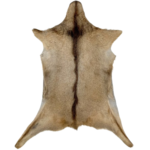 Tan and Brown Goatskin:  tan with a brown strip across the shoulder and down the middle - 3'1" x 2'2" (GOAT345)