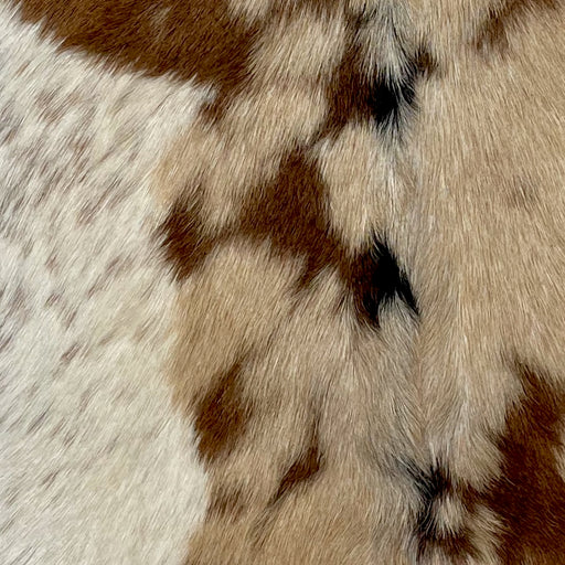 Closeup of this Goatskin, showing tan with brown spots, and a large spot that is off-white with brown speckles (GOAT346)
