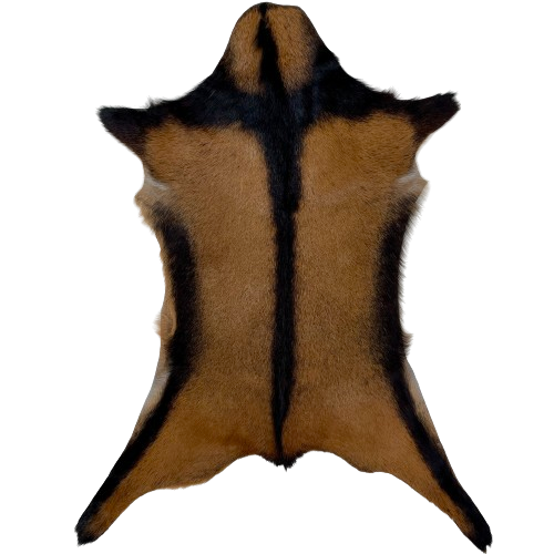 Brown and Black Goatskin:  brown with a black strip across the shoulder and along the edge of the belly, and it has a strip of black, longer hair down the middle - 3'1" x 2'5" (GOAT347)