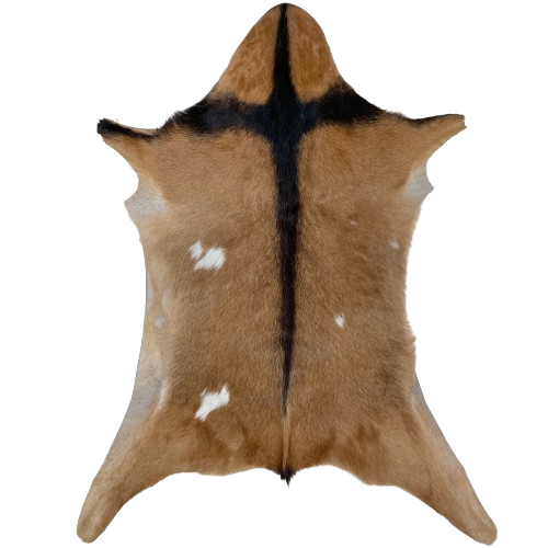 Brown and Blackish Brown Goatskin:  brown with blackish brown strip down the middle and across the shoulder, and it has a few small, white spots on the back - 3'1" x 2'5" (GOAT348)